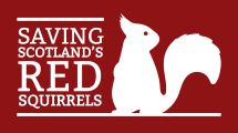 https://scottishsquirrels.org.uk/wp-content/themes/ssrs/images/SSRS_logo.png