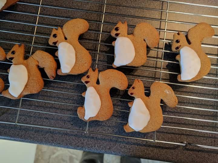 Squirrel biscuits 