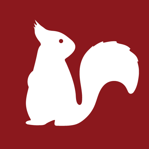 SSRS squirrel icon