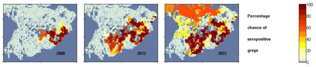 Mathematical modelling showing squirrelpox spreading to through central belt by 2022