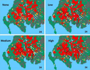 Maps of Dumfries and Galloway with predicted red squirrel presence. Medium and High levels of control predict similarly high red squirrel presence.