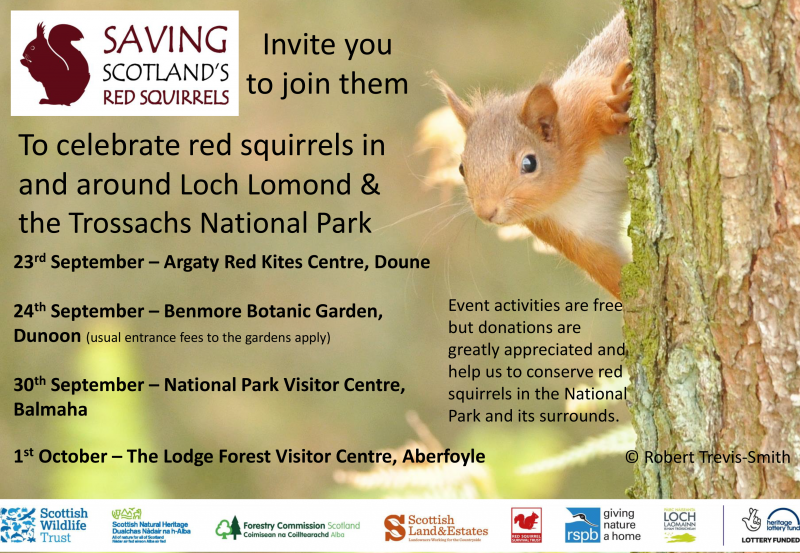 Celebrate red squirrels in the National Park Saving Scotland’s Red