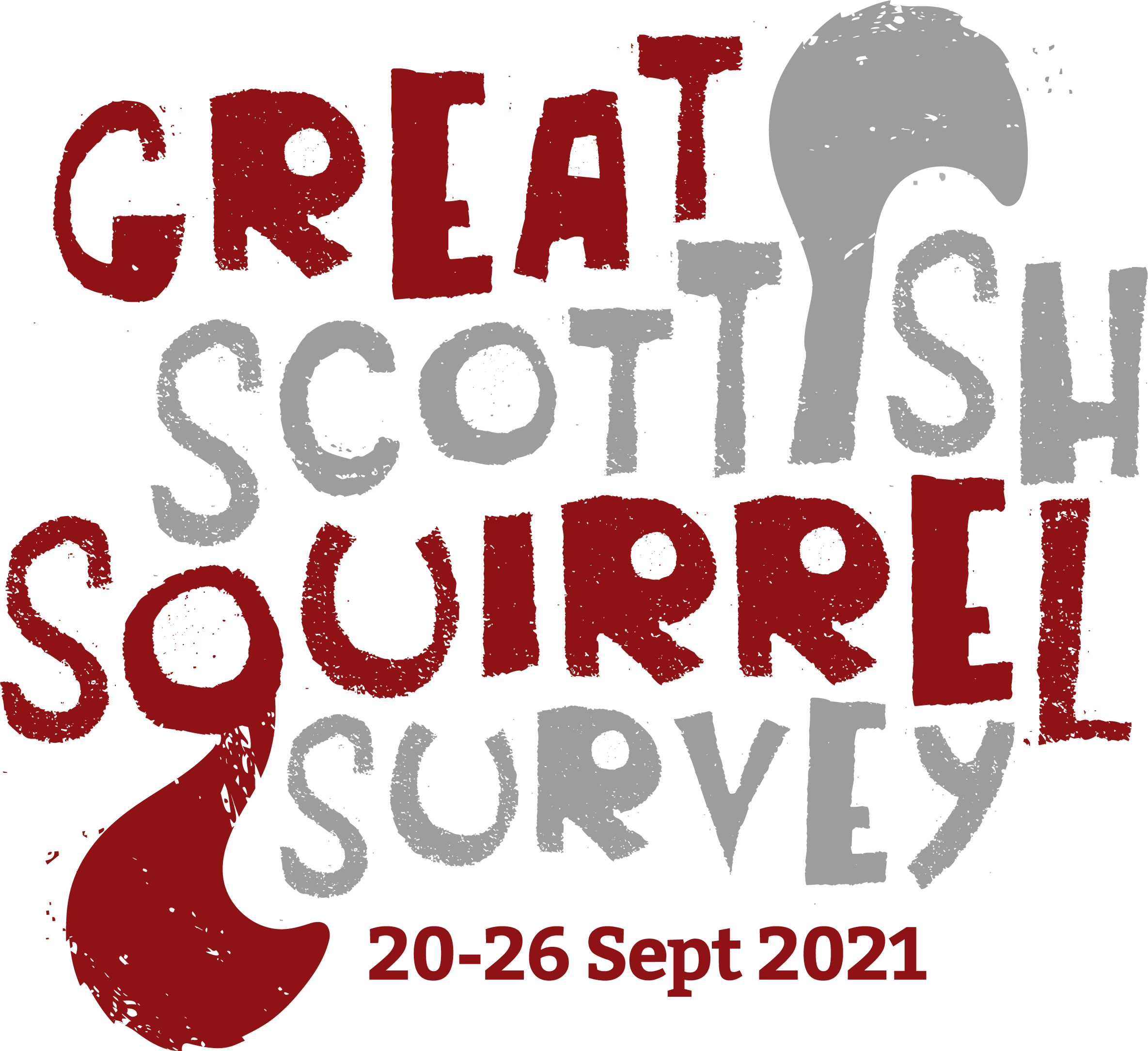 Great Scottish Squirrel Survey 2021: the results