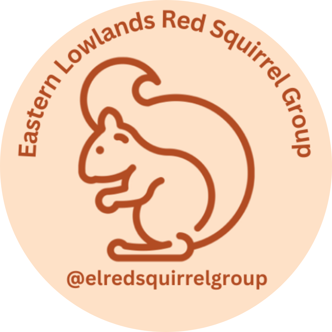 Introducing the new Eastern Lowlands Red Squirrel Group