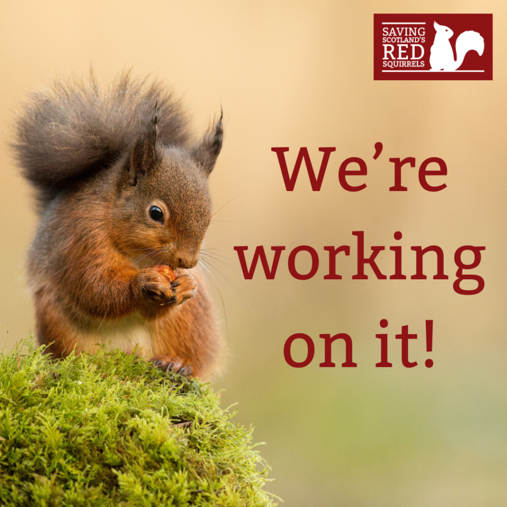 A red squirrel eating a nut on a mossy stump. Text reads "We're working on it!"