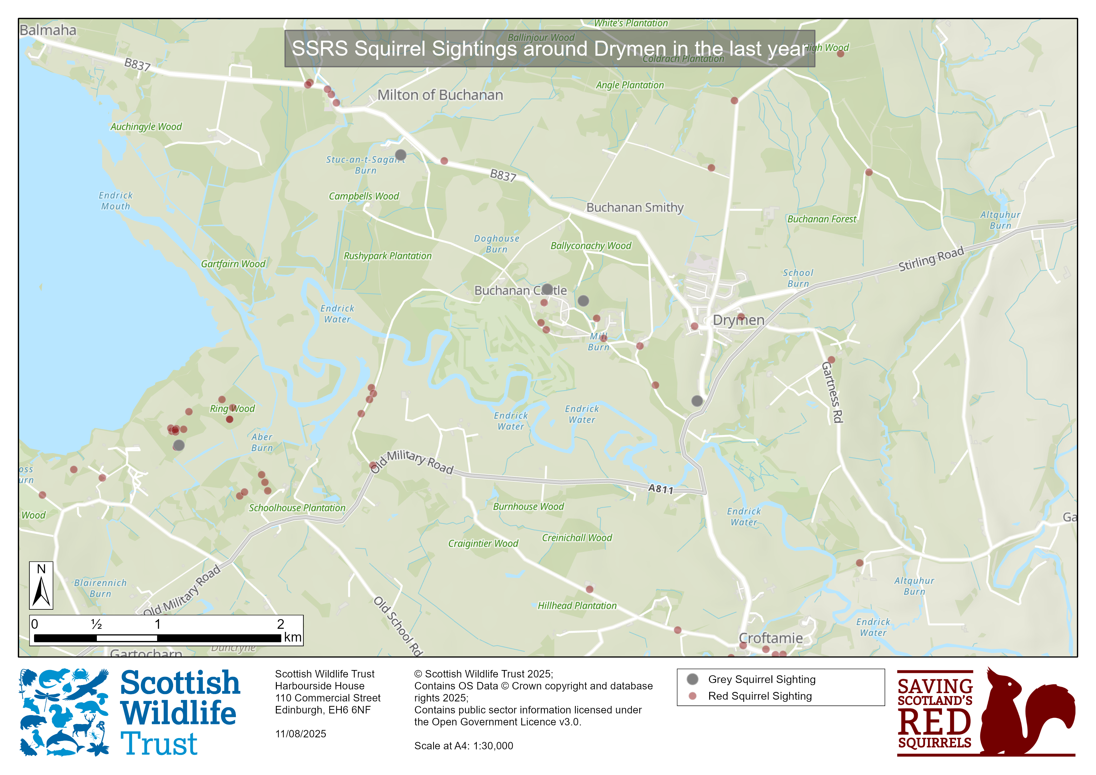 A close up map of the Drymen area, showing red and grey squirrel sightings