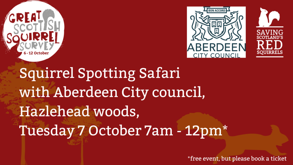 A red tile with the Great Scottish Squirrel Survey, Saving Scotland's Red Squirrels and the Aberdeen City Council logos at the top. Text reads: " Squirrel Spotting Safari with Aberdeen City council, Hazlehead woods, Tuesday 7 October 7am - 12pm* *free event but please book a ticket”