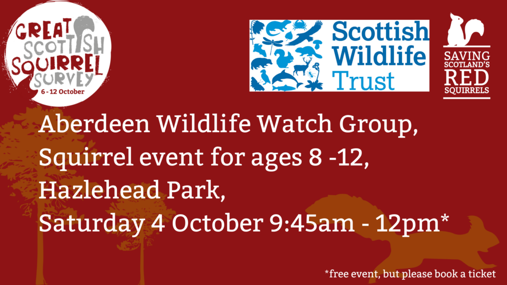 A red tile with the Great Scottish Squirrel Survey, Saving Scotland's Red Squirrels and the Scottish Wildlife Trust logos at the top. Text reads: "Saturday 4 October - Aberdeen Wildlife Watch kids event, Hazlehead Park, 9:45am - 12pm* *Free event but please book a ticket”