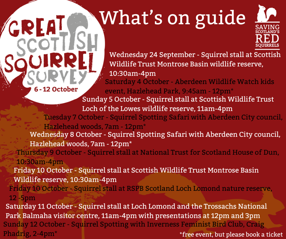 A red tile with the Great Scottish Squirrel Survey and Saving Scotland's Red Squirrels logos at the top. Text reads: "What's on guide: Wednesday 24 September - Squirrel stall at Scottish Wildlife Trust Montrose Basin wildlife reserve, 10:30am-4pm Saturday 4 October - Aberdeen Wildlife Watch kids event, Hazlehead Park, 9:45am - 12pm* Sunday 5 October - Squirrel stall at Scottish Wildlife Trust Loch of the Lowes wildlife reserve, 11am-4pm Tuesday 7 October - Squirrel Spotting Safari with Aberdeen City council, Hazlehead woods, 7am - 12pm* Wednesday 8 October - Squirrel Spotting Safari with Aberdeen City council, Hazlehead woods, 7am - 12pm* Thursday 9 October - Squirrel stall at National Trust for Scotland House of Dun, 10:30am-4pm Friday 10 October - Squirrel stall at Scottish Wildlife Trust Montrose Basin Wildlife reserve, 10:30am-4pm Friday 10 October - Squirrel stall at RSPB Scotland Loch Lomond nature reserve, 12 -5pm Saturday 11 October - Squirrel stall at Loch Lomond and the Trossachs National Park Balmaha visitor centre, 11am-4pm with presentations at 12pm and 3pm Sunday 12 October - Squirrel Spotting with Inverness Feminist Bird Club, Craig Phadrig, 2-4pm* *free event, but please book a ticket"