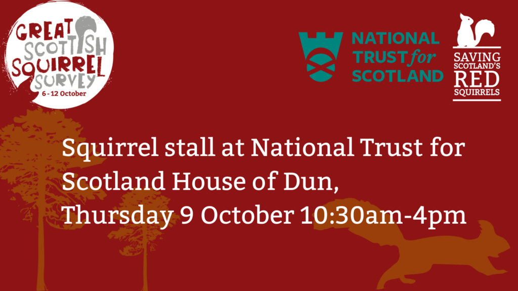 A red tile with the Great Scottish Squirrel Survey, Saving Scotland's Red Squirrels and the National Trust for Scotland logos at the top. Text reads: " Squirrel stall at National Trust for Scotland House of Dun, Thursday 9 October 10:30am - 4pm”