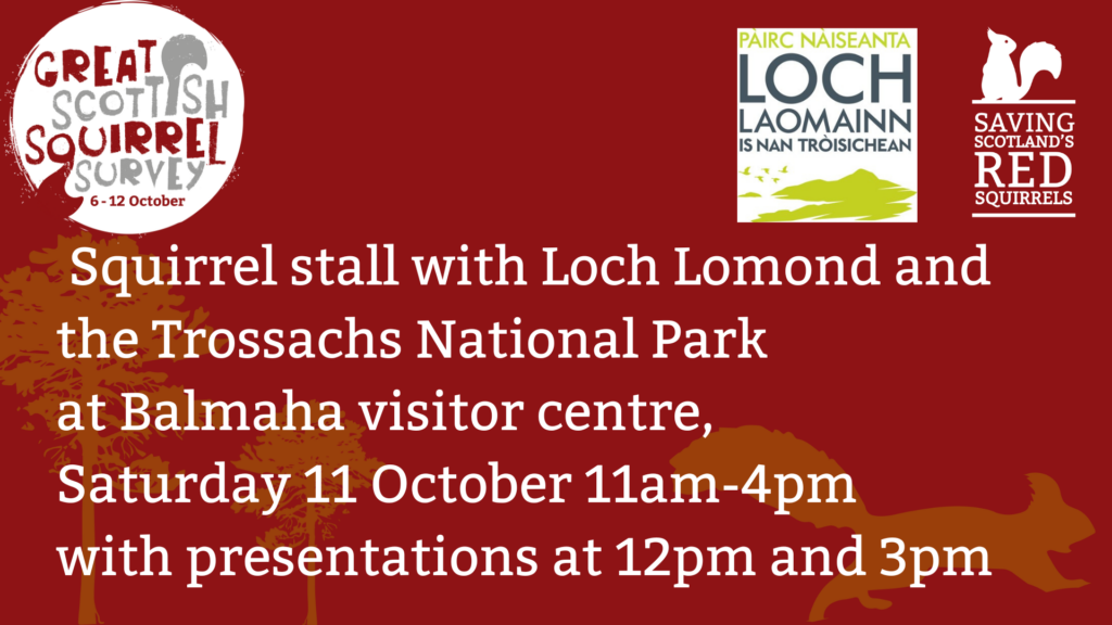 A red tile with the Great Scottish Squirrel Survey, Saving Scotland's Red Squirrels and the Loch Lomond and the Trossachs National Park logos at the top. Text reads: "Squirrel Stall with Loch Lomond and the Trossachs National Park, Balmaha Visitor Centre, Saturday 11 October 11am-4pm, with presentations at 12pm and 3pm.”