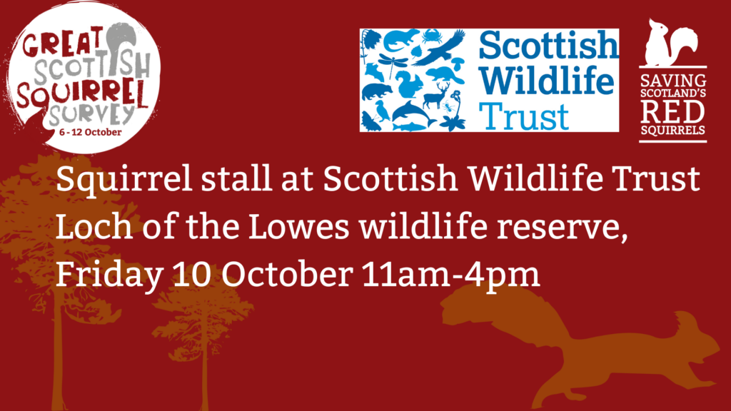 A red tile with the Great Scottish Squirrel Survey, Saving Scotland's Red Squirrels and the Scottish Wildlife Trust logos at the top. Text reads: " Squirrel stall at Scottish Wildlife Trust Loch of the Lowes wildlife reserve, Sunday 5 October 11am-4pm”