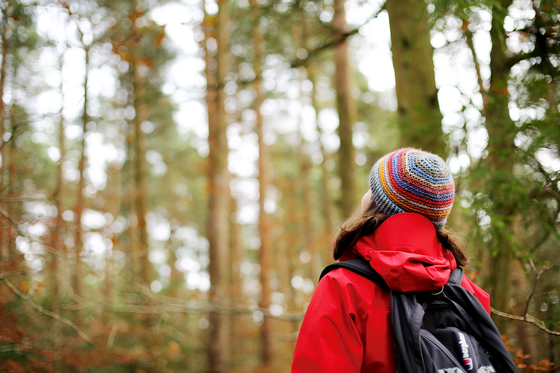 A person looking up into trees.