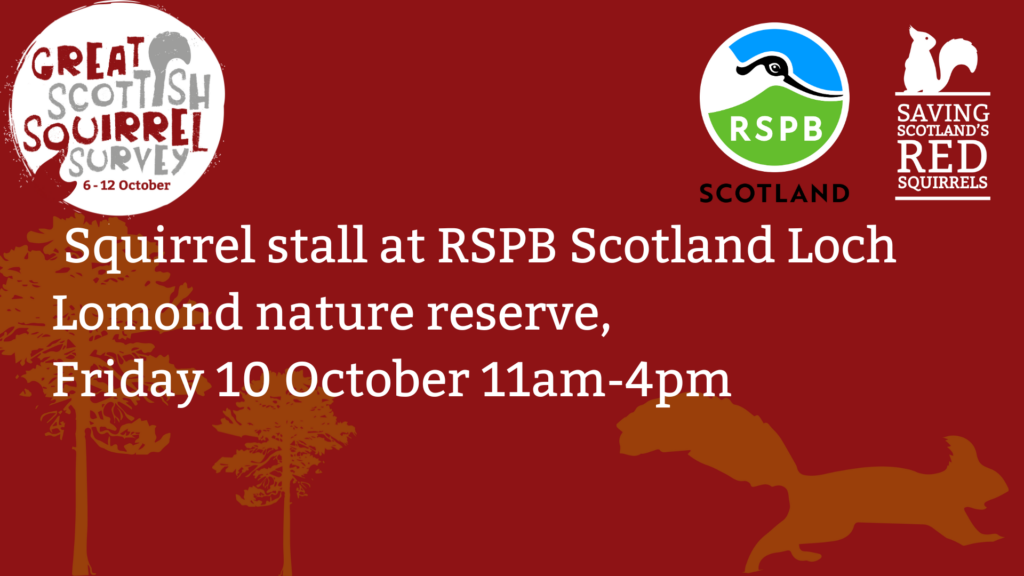 A red tile with the Great Scottish Squirrel Survey, Saving Scotland's Red Squirrels and the RSPB Scotland logos at the top. Text reads: " Squirrel stall at RSPB Scotland Loch Lomond nature reserve, Friday 10 October 12-5pm”