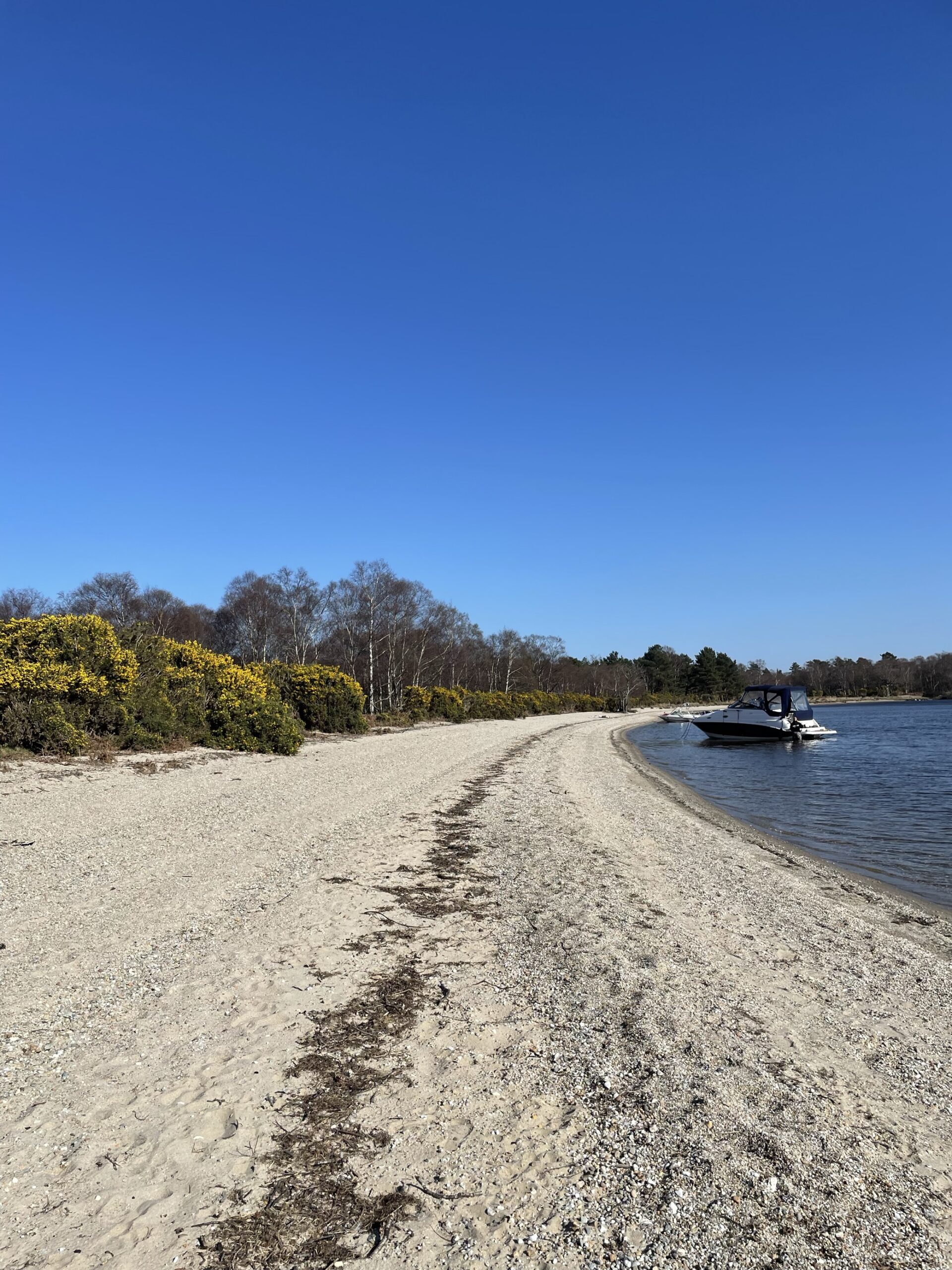 The shore of one of the islands with a boat parked up. The coastline is sandy with trees and shrubs further inland. It is a beautiful sunny day.