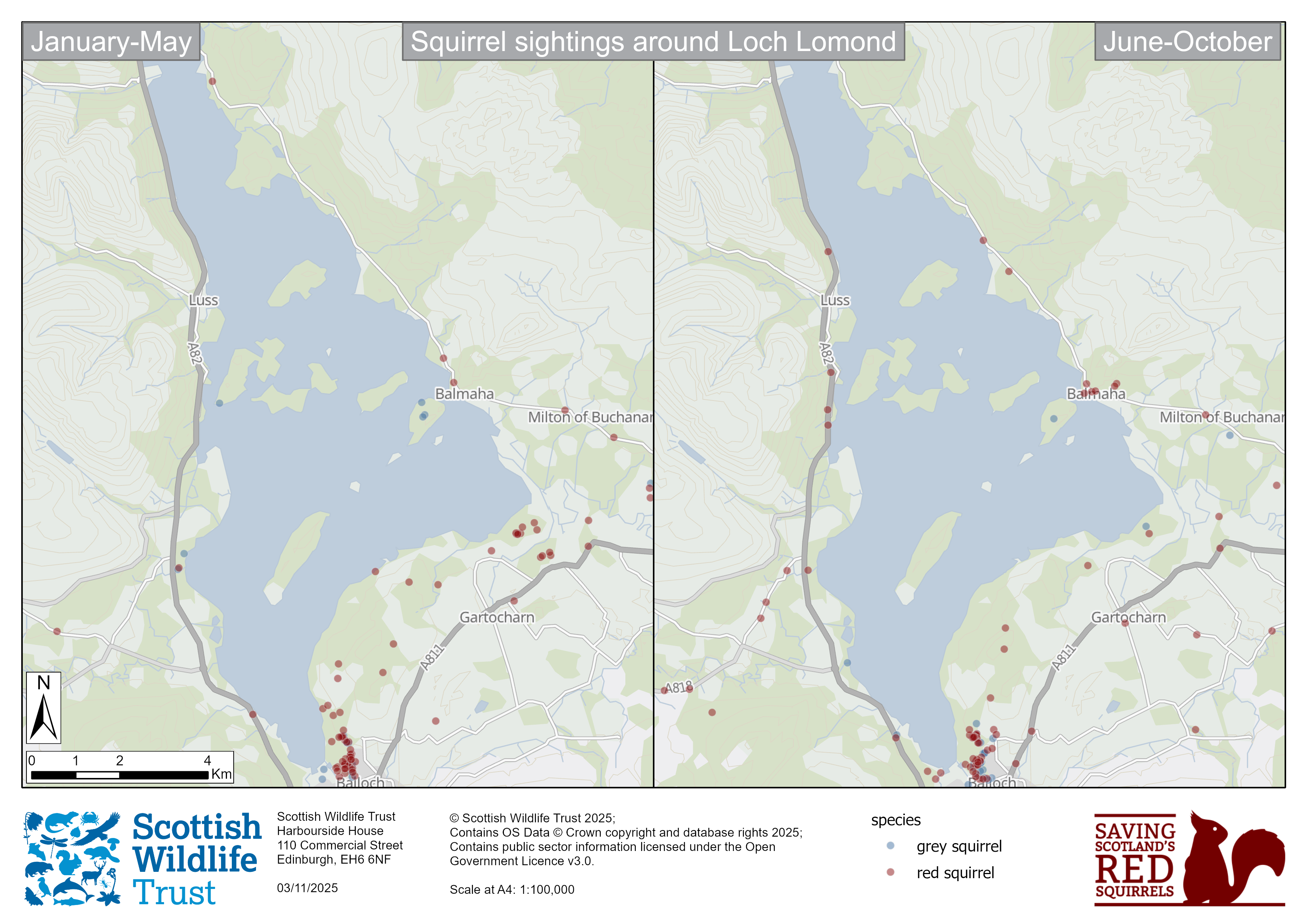Two maps showing red and grey squirrel sightings from around Loch Lomond from January – May and June – October this year. The second map shows fewer grey dots on the islands.