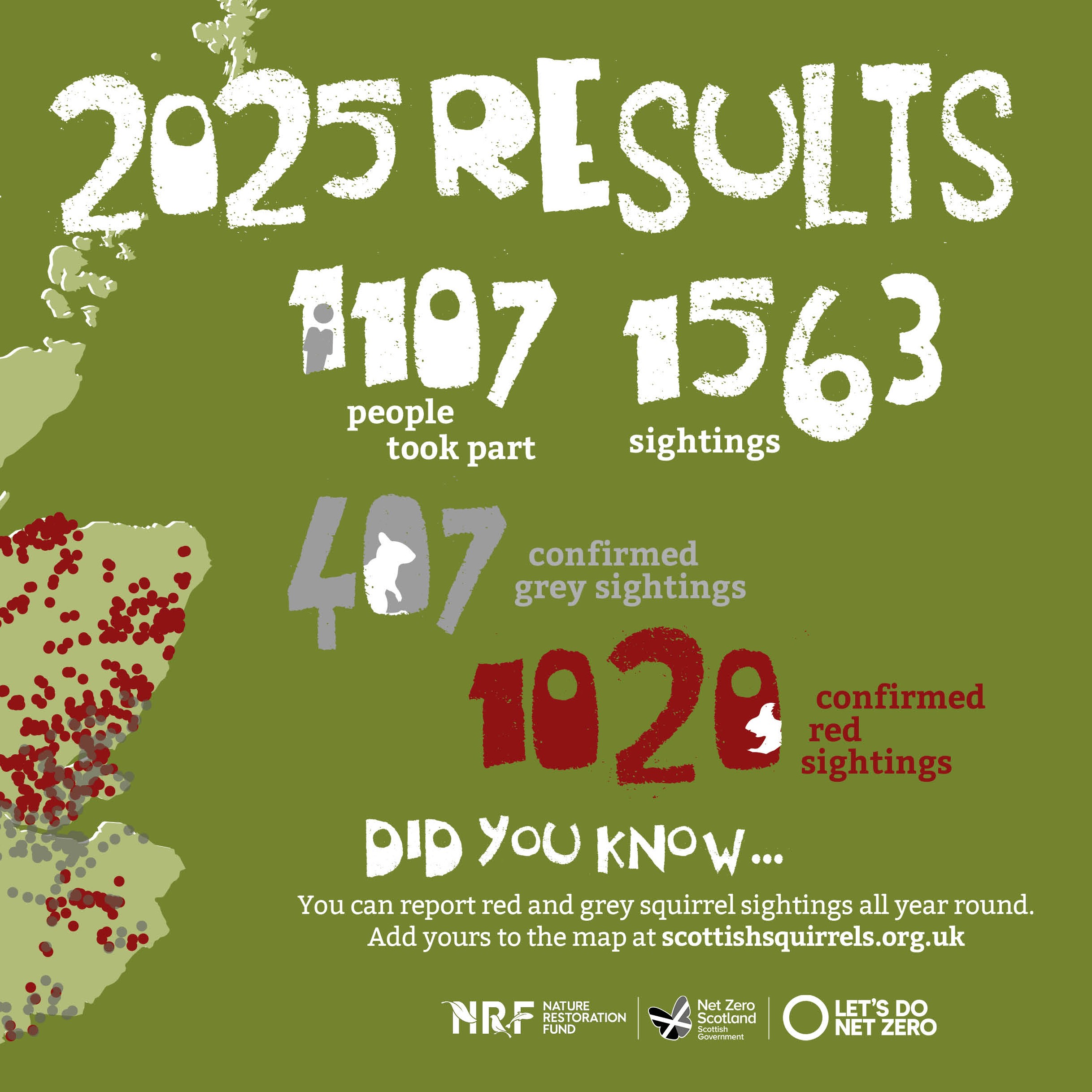 NEWS: Results of the Great Scottish Squirrel Survey 2025