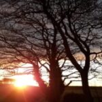 Profile picture of North Auchmachar