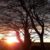 Profile picture of North Auchmachar