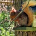 Profile picture of thayes