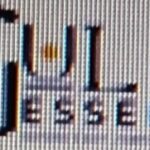 Profile picture of Gulessence